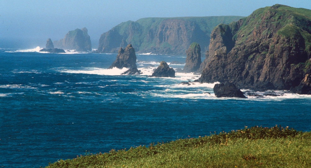 Why There's More to Russia-Japan Relations Than Kuril Islands