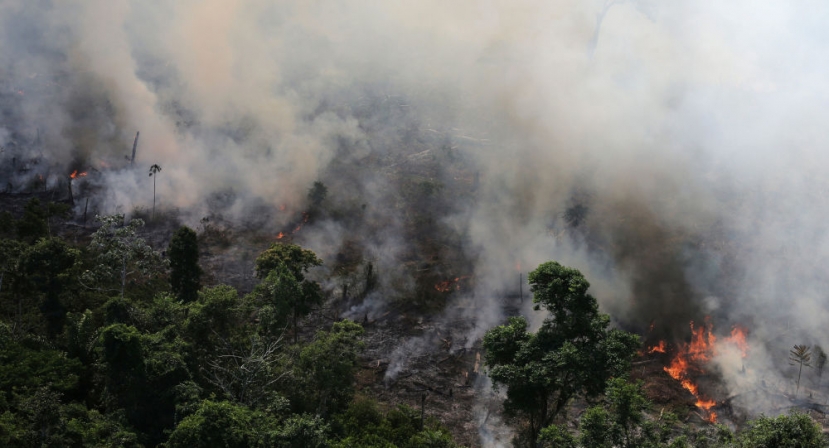 Brazil is Not Working With US on Amazon Wildfires - Defence Minister