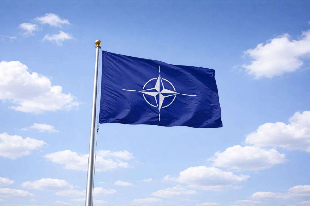 Греция нарушила сразу два договора, из-за чего внутри НАТО назревает война