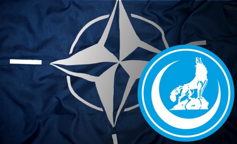 НАТО и ультраправые: турецкая история
