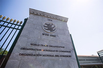 США обвинили в подрыве устоев ВТО