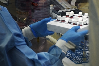 В России начались испытания вакцины от коронавируса на животных