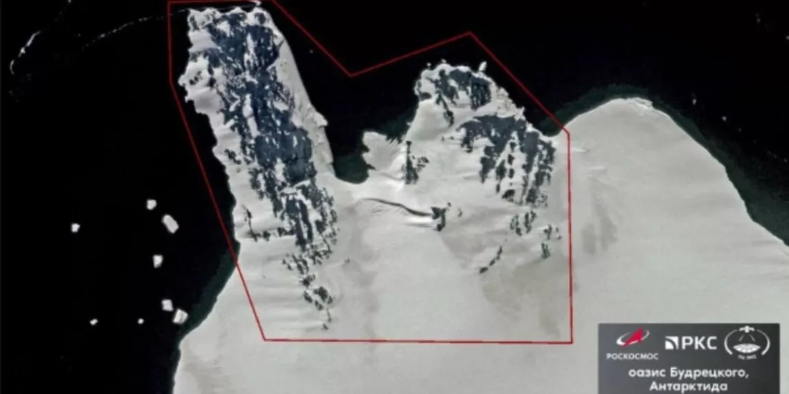Российские ученые открыли новый оазис в Антарктиде