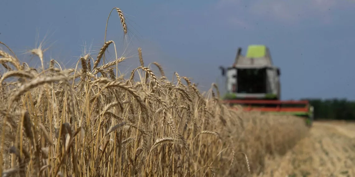 Не доехавшее до Африки украинское зерно оказалось не нужно Европе