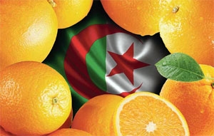 Апельсины давят на власть.  Крупнейшая страна Африки переживает несколько кризисов кряду.