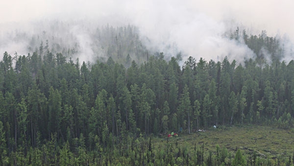 Шаманы проведут ритуалы для защиты сибирских лесов от пожаров