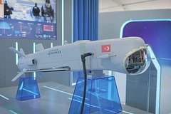 В Турции представили дрон-камикадзе для БПЛА