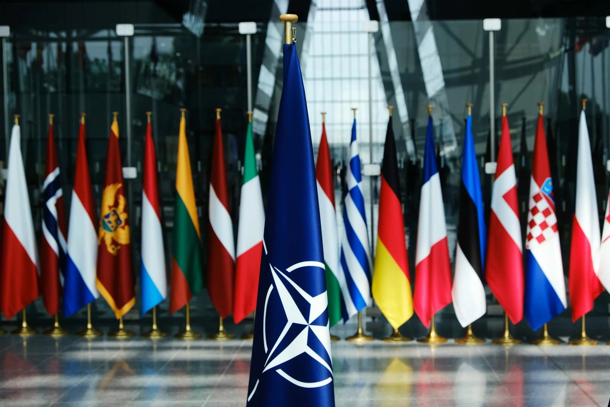 Депутат Европарламента Уоллес назвал НАТО виновником конфликта России и Украины