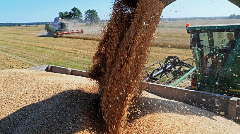 Русское зерно захватывает мир: экспорт пшеницы увеличен на 13%