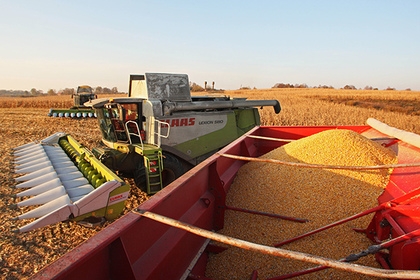 Россия побьет абсолютный рекорд СССР по урожаю зерна