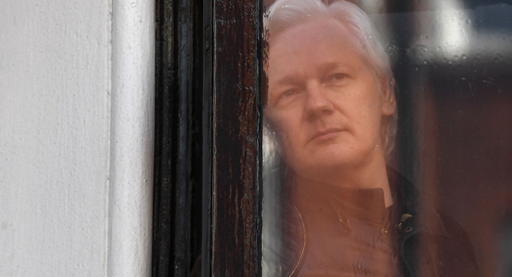Snowden's Lawyer: Ecuador Breached Assange's Constitutional Rights Under Own Law