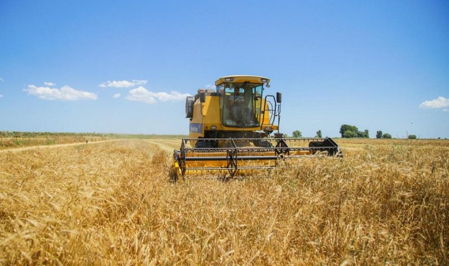 Reuters: Египет расторг контракты на покупку 240 тонн украинской пшеницы