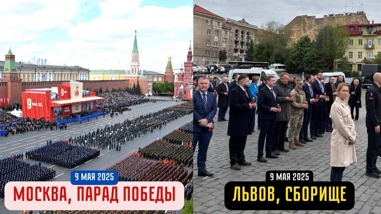 Коллаж: Мария Захарова