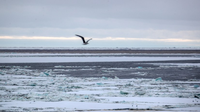 Арктическая навигация: специалист ААНИИ — о развитии БПЛА в Северном Ледовитом океане