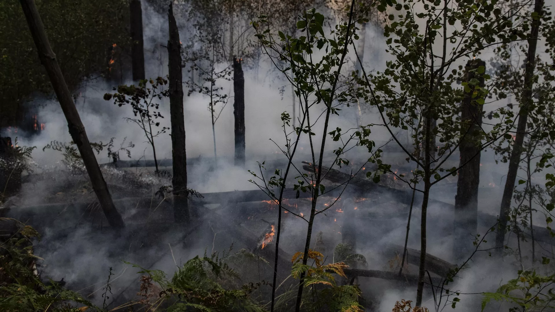 Wildfires in Russia's Ryazan Region Destroy 2,100 Acres Over Last 24 Hours