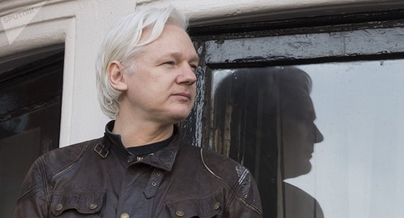 UN Human Rights Expert Plans to Visit Assange, Evaluate Violation of Privacy