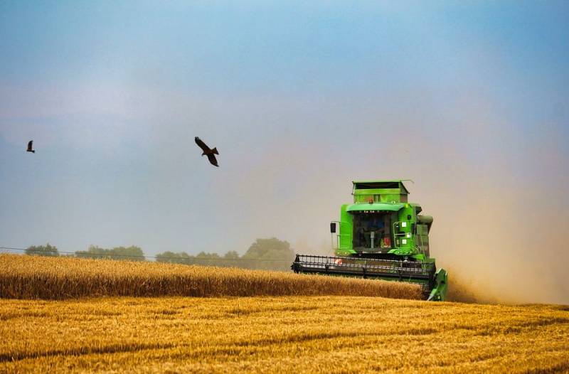 Пшеница «на вес золота»: события на Украине отражаются на стоимости зерна в мире