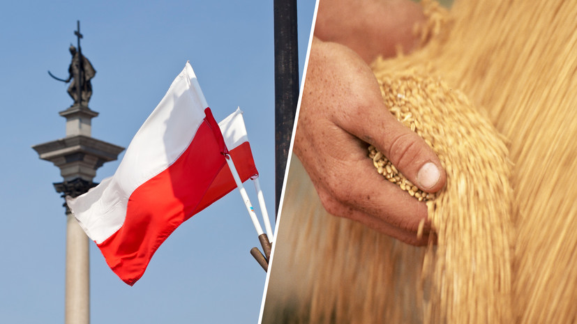 До 30 июня: Польша ввела запрет на ввоз украинской сельхозпродукции