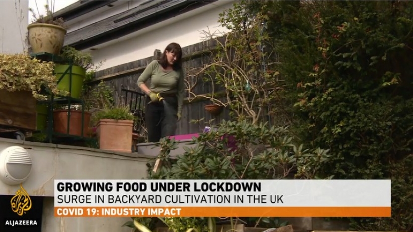Al Jazeera: опасаясь дефицита продуктов, британцы вернулись к своим огородам