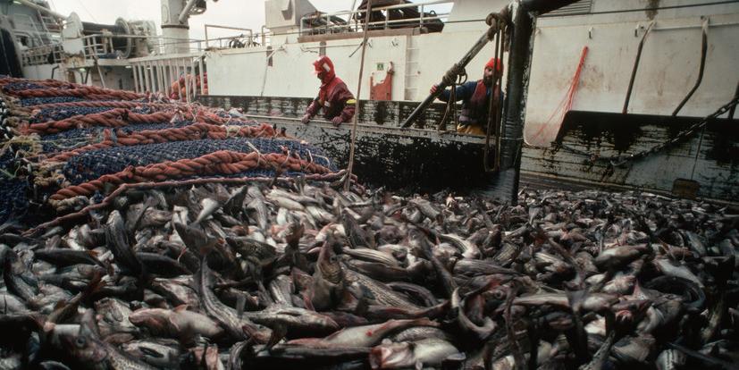 Россия запретила японским рыбакам промысел у южных Курил