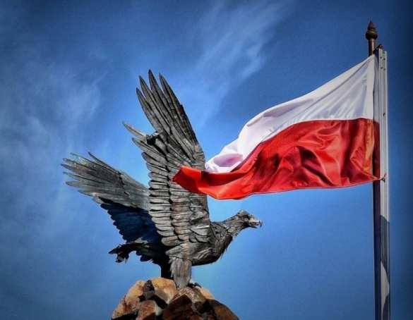 Польша хочет стать «финансовым хабом» для Украины