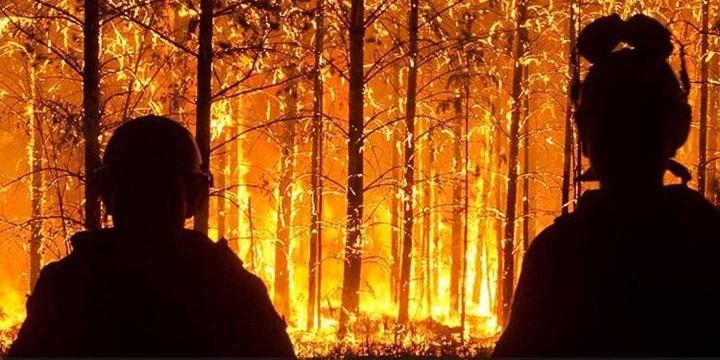 Красноярский губернатор заявил о бессмысленности борьбы с лесными пожарами